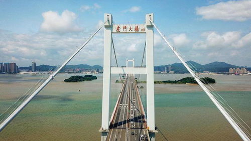 从落后到领跑 中国桥梁的“超车式”发展令人惊叹不已
